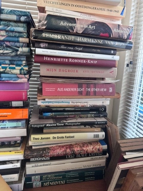 Partij Nederlandse boeken kunst oorlog romans, Boeken, Ophalen, Gelezen, Stripboeken