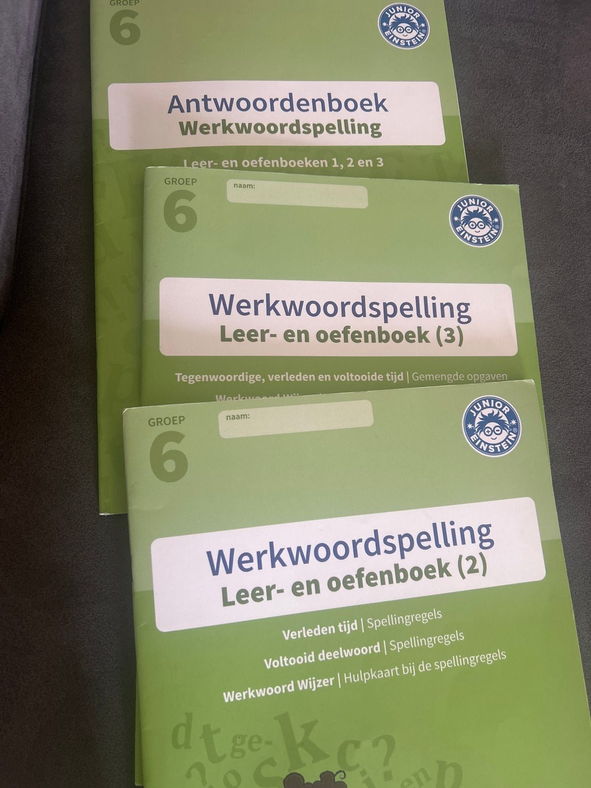 Junior Einstein Werkwoordspelling Groep 6 (set), Ophalen of Verzenden, Gelezen, Overige niveaus, Nederlands