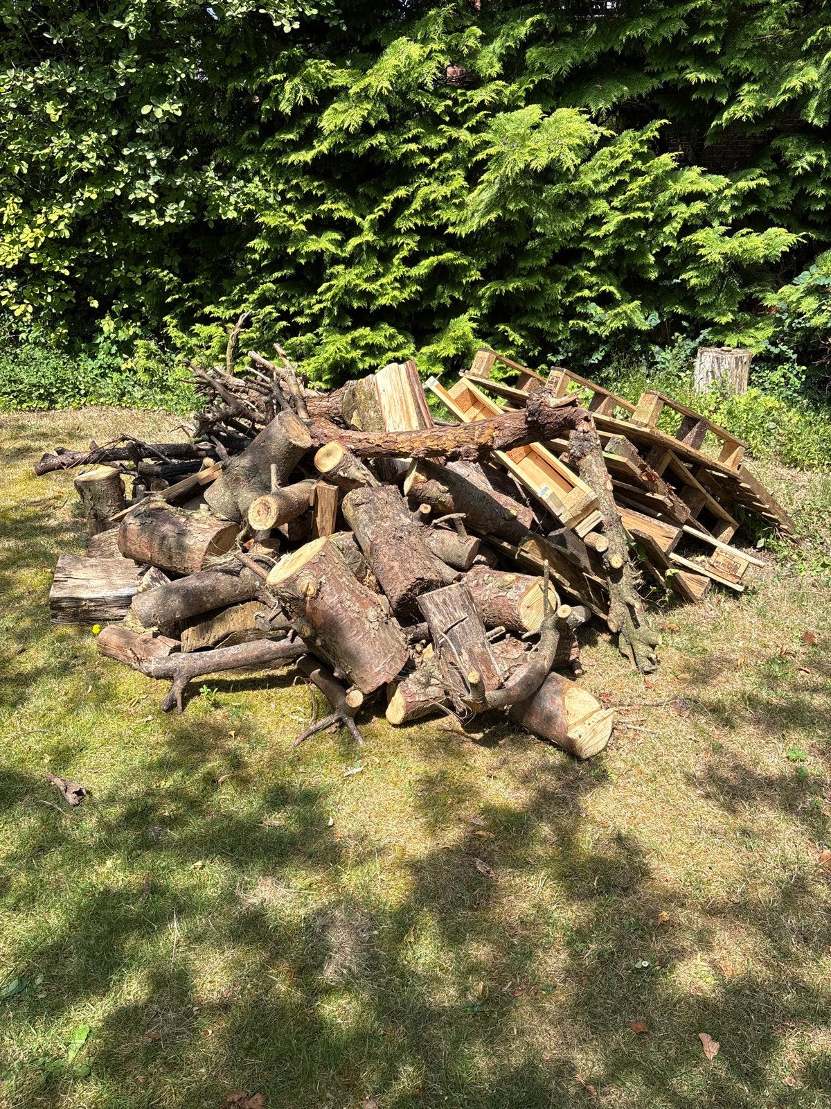 Brandhout: Blokken, takken en pallets, Tuin en Terras, Haardhout, 3 tot 6 m³, Ophalen, Overige houtsoorten, Blokken