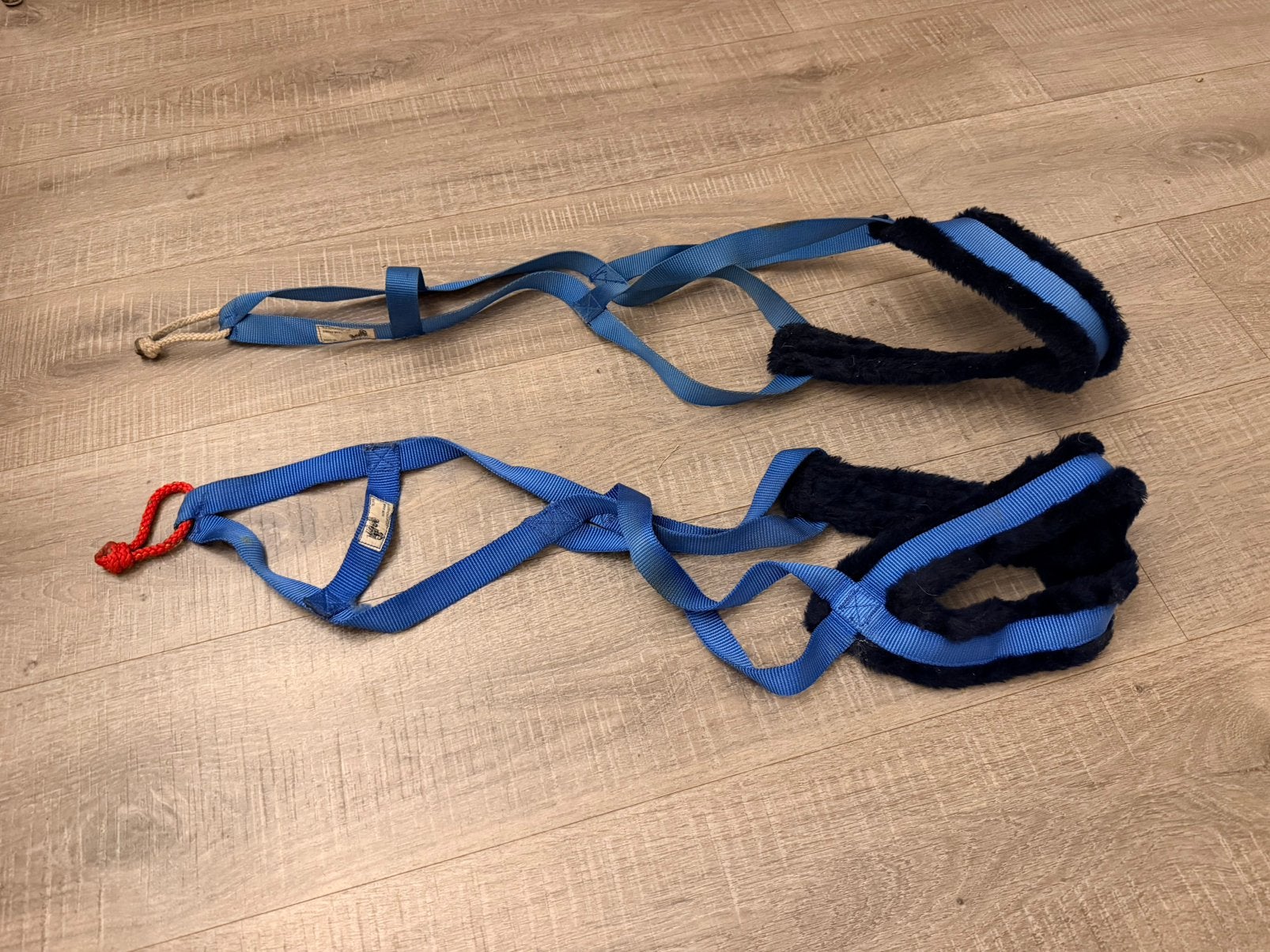 Twee sleede tuigjes XL voor huskey’s o.d., Ophalen of Verzenden, Gebruikt, Hondentuig