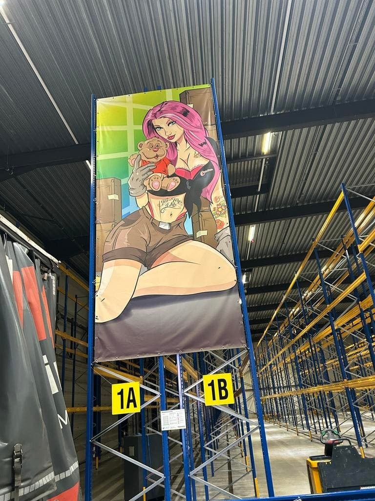 15 Grote Doeken met Mooie Afbeeldingen, Verzamelen, Deurposter of groter, Ophalen of Verzenden, Canvas of Doek, Overige onderwerpen