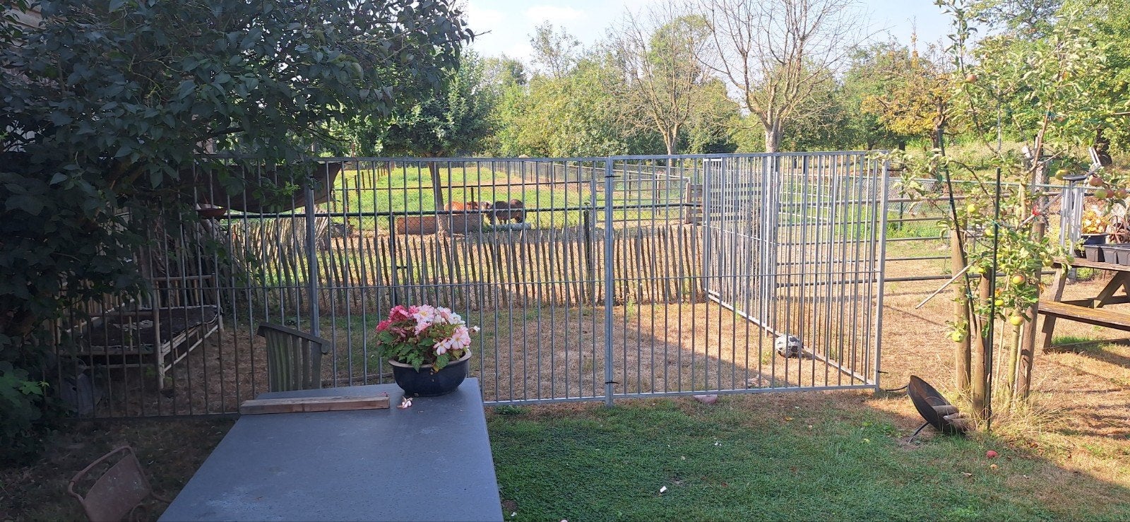 honden kennel hok 6 delen, Ophalen, 110 cm of meer, 100 cm of meer