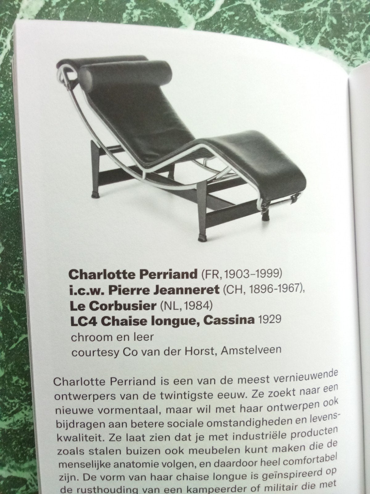 The Roaring Twenties - Boek over design en kunst, Ophalen of Verzenden, Gelezen, Onbekend