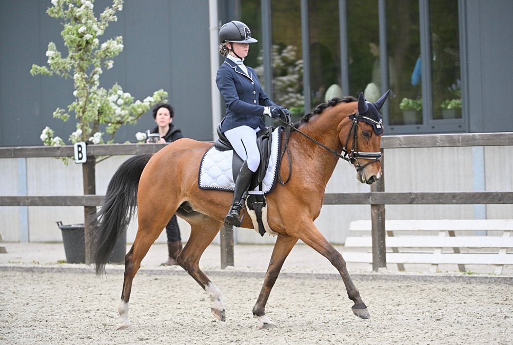 Lieve ZZL dressuur leerpony, ZZ, Minder dan 160 cm, Met stamboom, Ruin