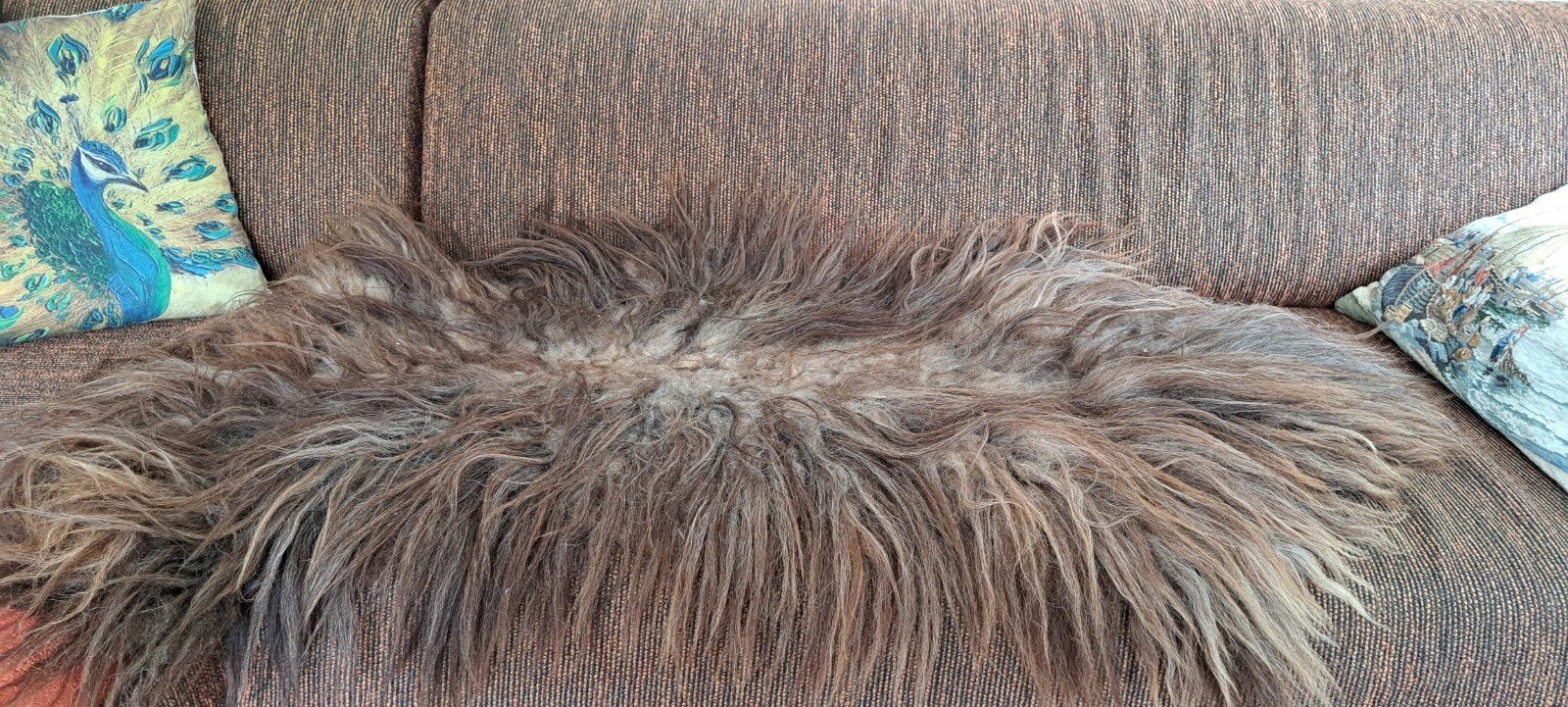 Schapenvacht Bruin, Ophalen, Gebruikt, 100 tot 150 cm, Grijs