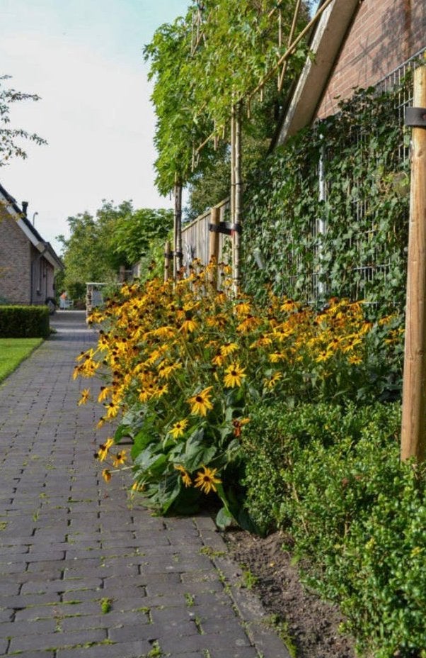 Tuinman voor tuinonderhoud bij grote en kleine tuinen, Ophalen, Nieuw