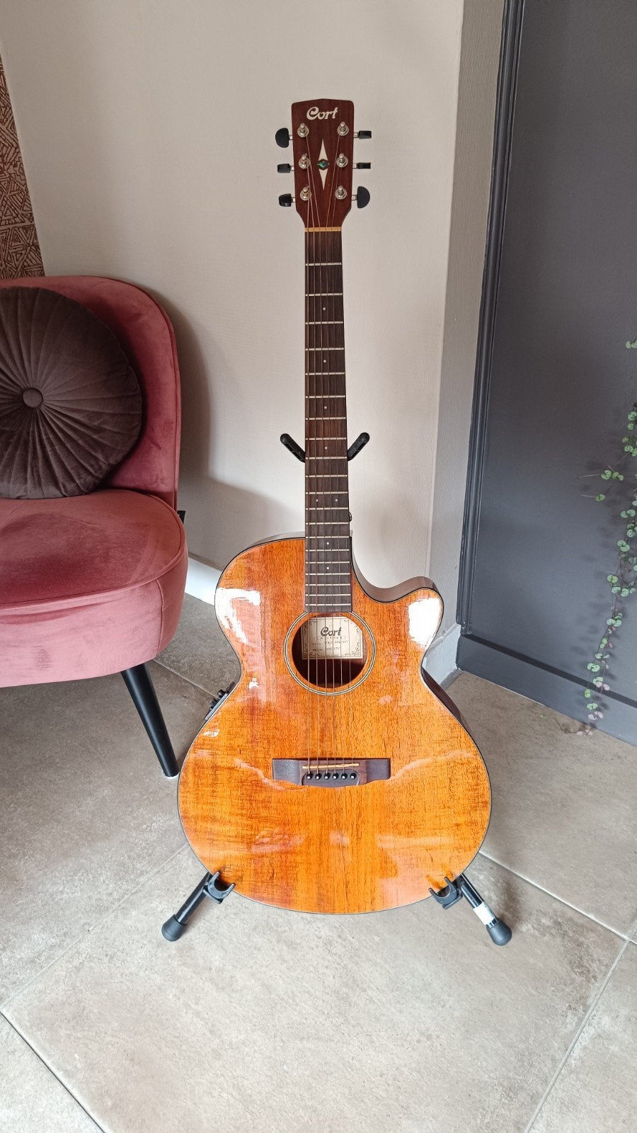 Gitaar Cort - Prachtige achterkant kast, Ophalen, Zo goed als nieuw, Overige typen