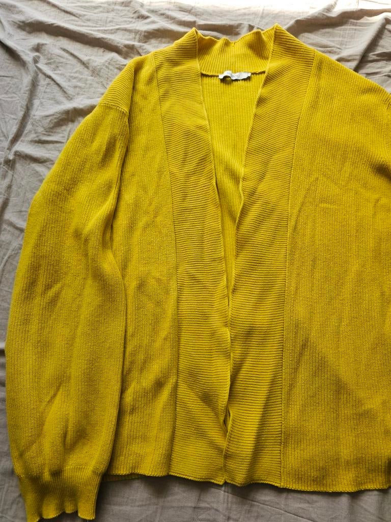 Sissy Boy organisch katoen vest XL geel, Ophalen of Verzenden