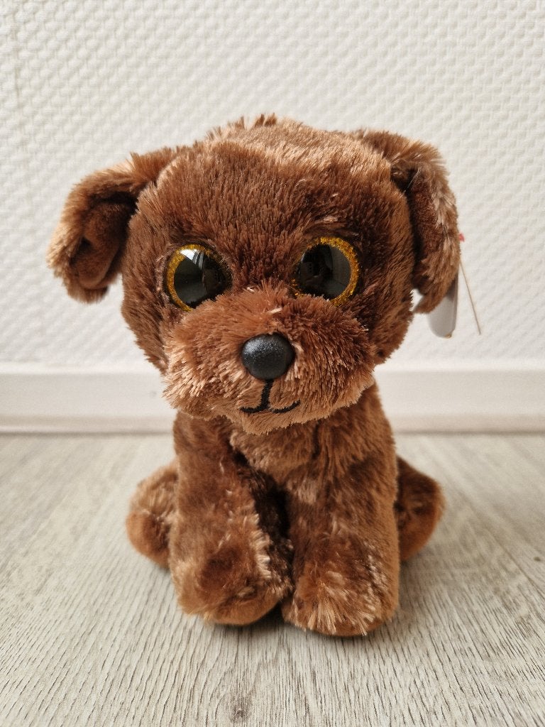 Beanie Babies hondje bruin, Kinderen en Baby's, Speelgoed | Knuffels en Pluche, Overige karakters, Nieuw, Met label, Klein (minder dan 20 cm)