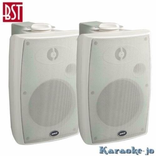 BST-270TW 100Volt Luidspreker set 2-weg 30 Watt, Overige merken, ., Overige typen, Nieuw