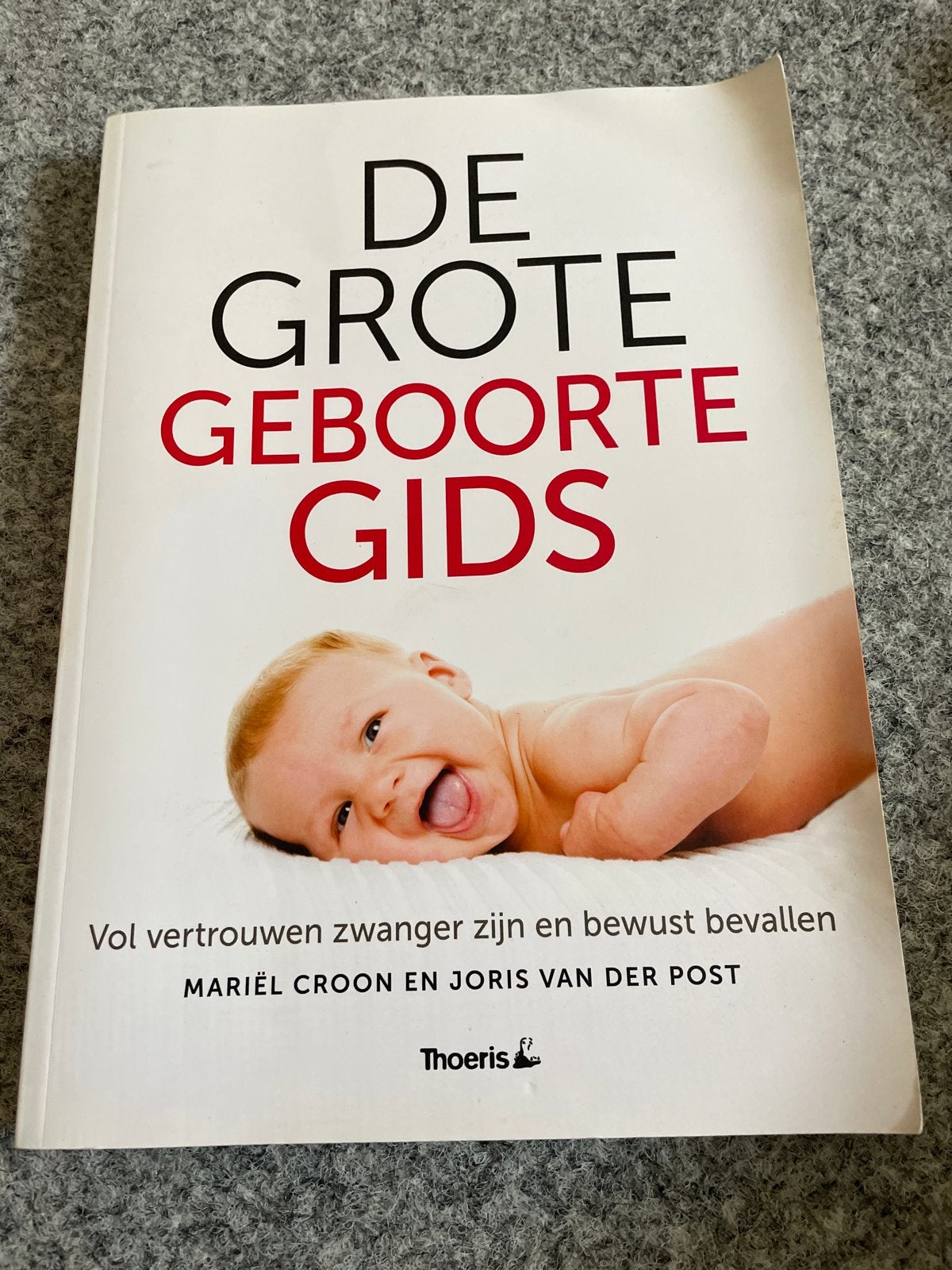 De Grote Geboorte Gids - Zwangerschap en Bevalling, Ophalen of Verzenden, Zo goed als nieuw, Zwangerschap en Bevalling