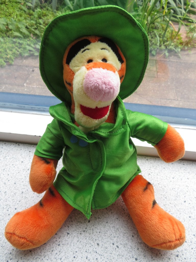 Disney Teigetje in groen regenpak zuidwester en jack, Disney, Ophalen of Verzenden, Zo goed als nieuw, Wasbaar