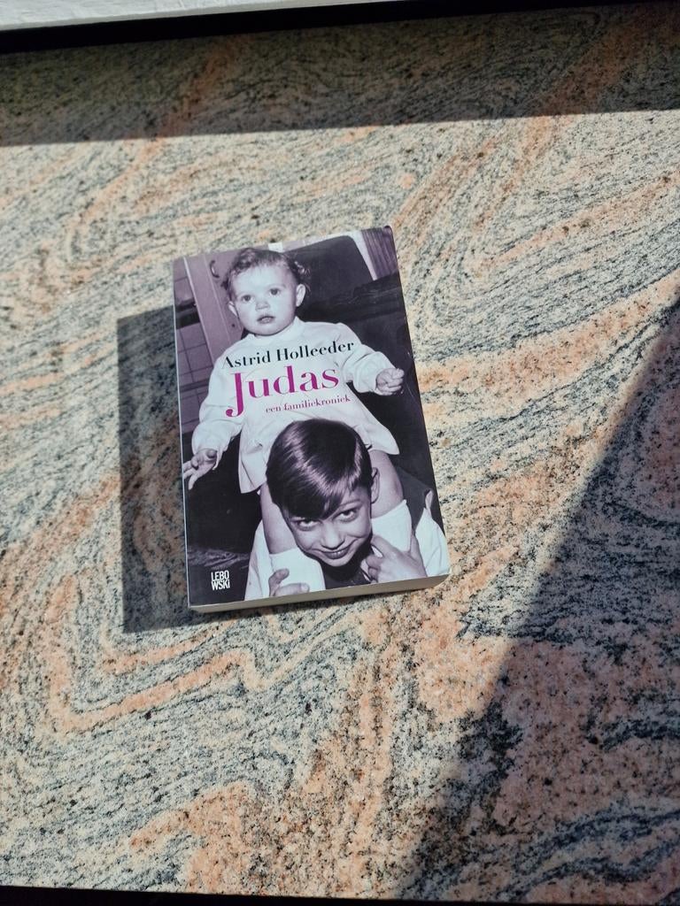 Astrid Holleeder - Judas, Boeken, Ophalen of Verzenden, Nieuw, Astrid Holleeder