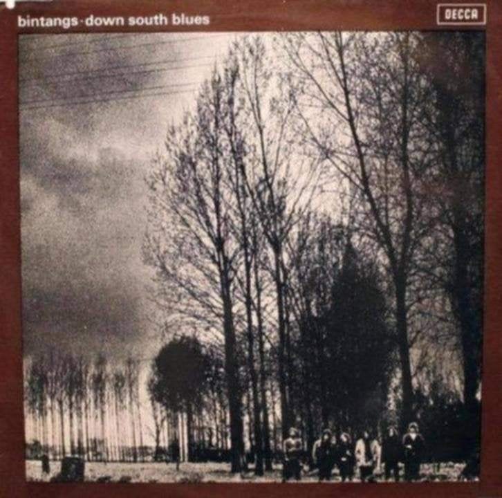 LP: Bintangs – Down South Blues, Ophalen of Verzenden, Zo goed als nieuw, 12 inch, Poprock