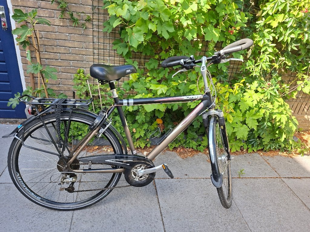 Sparta Argeon, 28 inch, Gebruikt, Vering, Velgrem