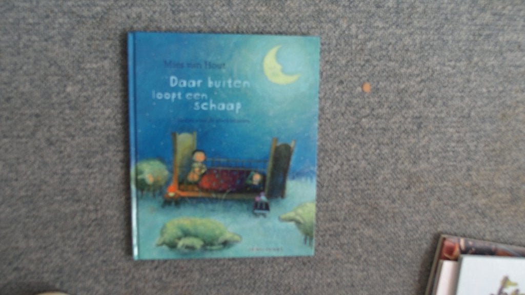 Daar buiten loopt een schaap - Prentenboek -- Klassieker, Ophalen of Verzenden, Zo goed als nieuw, Mies van Hout, 3 tot 4 jaar