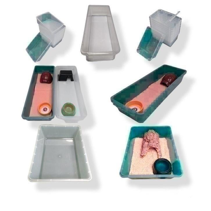 12. Boxen, tubs, Braplast voor reptielen racks., Dieren en Toebehoren, Reptielen en Amfibieën | Toebehoren, Ophalen of Verzenden