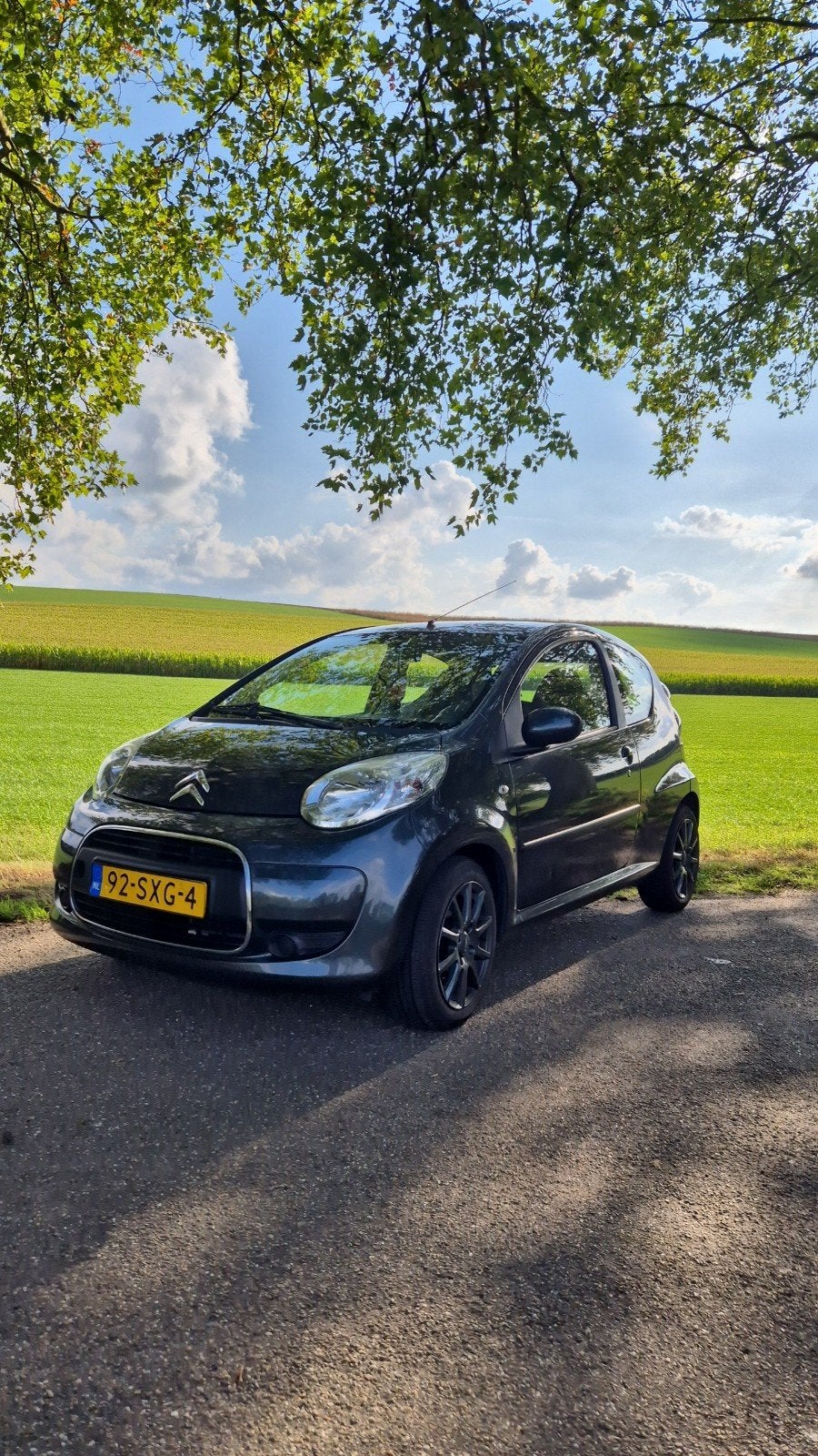 Citroën C1 1.0 uit 2011 grijs, Voorwielaandrijving, Stof, 4 stoelen, C1