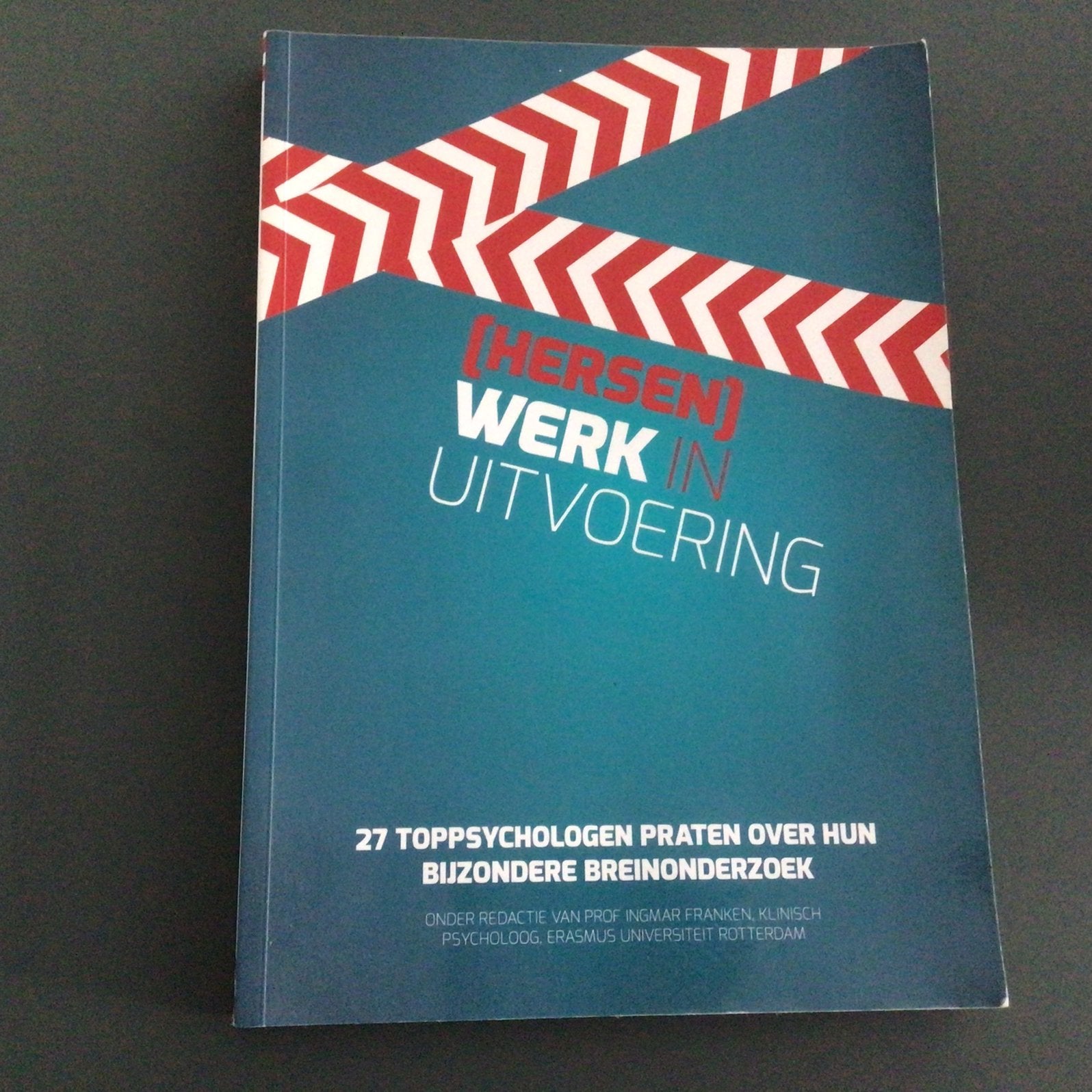 (Hersen)werk in uitvoering, Boeken, Ophalen of Verzenden, Gelezen