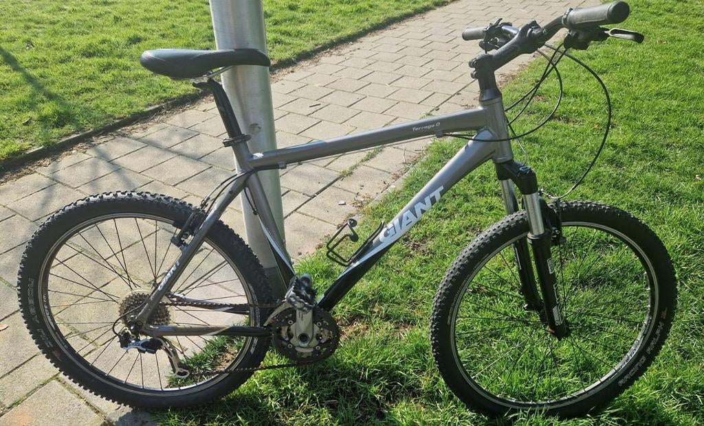 MTB Giant Terrago O maat L, Ophalen, Gebruikt, 26 inch, Giant