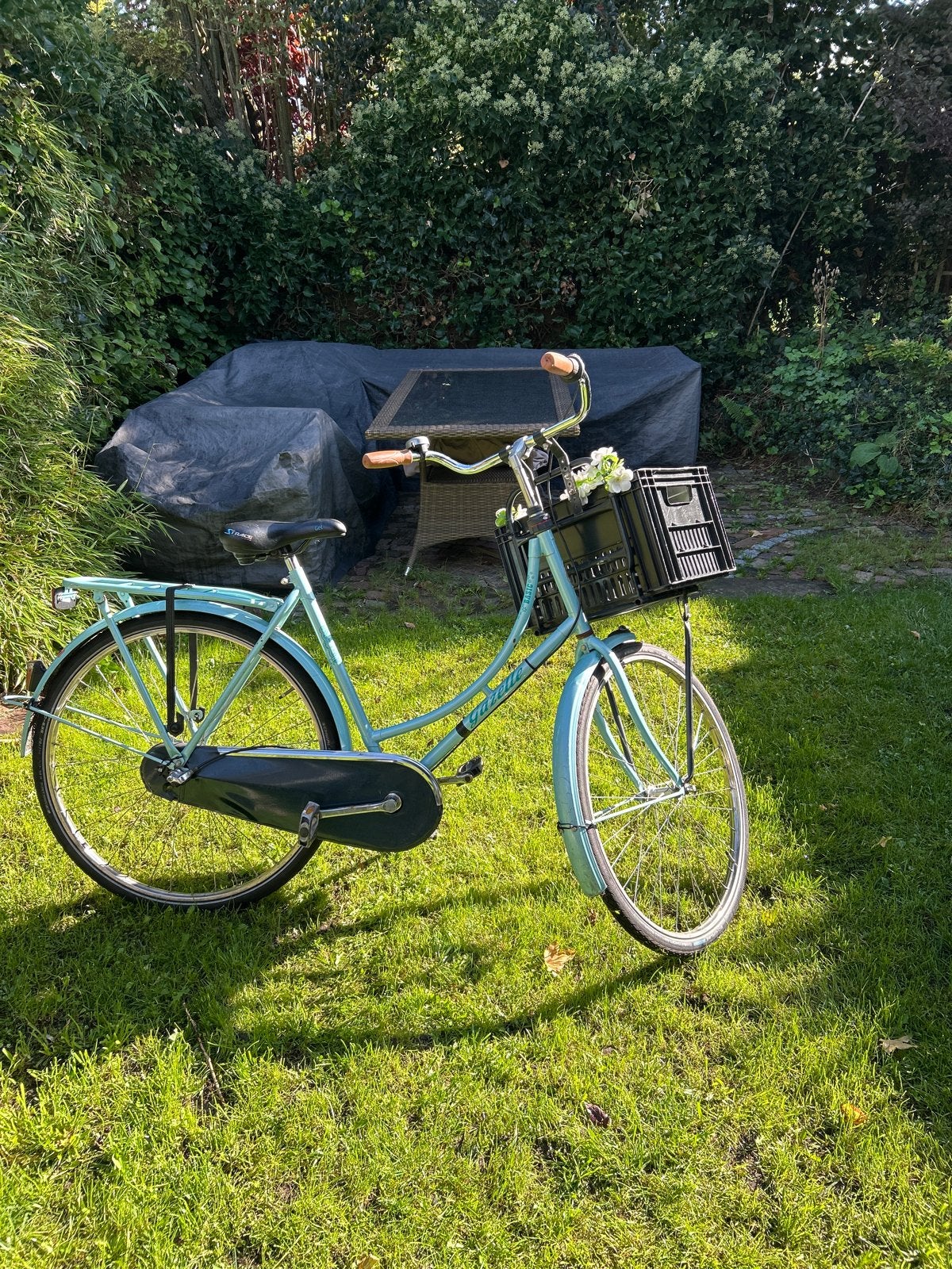 Gazelle Basic Damesfiets - Lichtblauw met Voordrager, Fietsen en Brommers, Ophalen, Terugtraprem, Gebruikt, Versnellingen