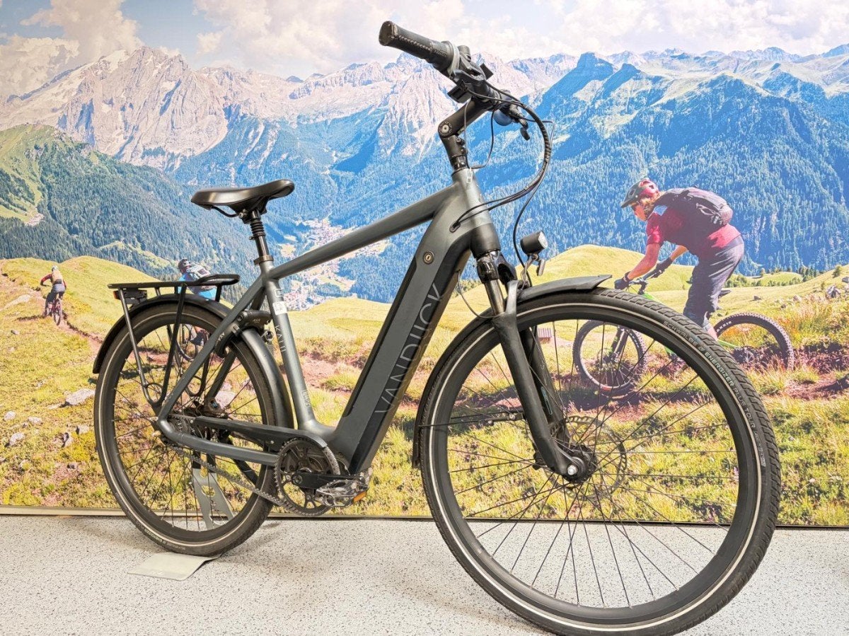 Van Dijck Kalii . 56cm, Gebruikt, -, -, -