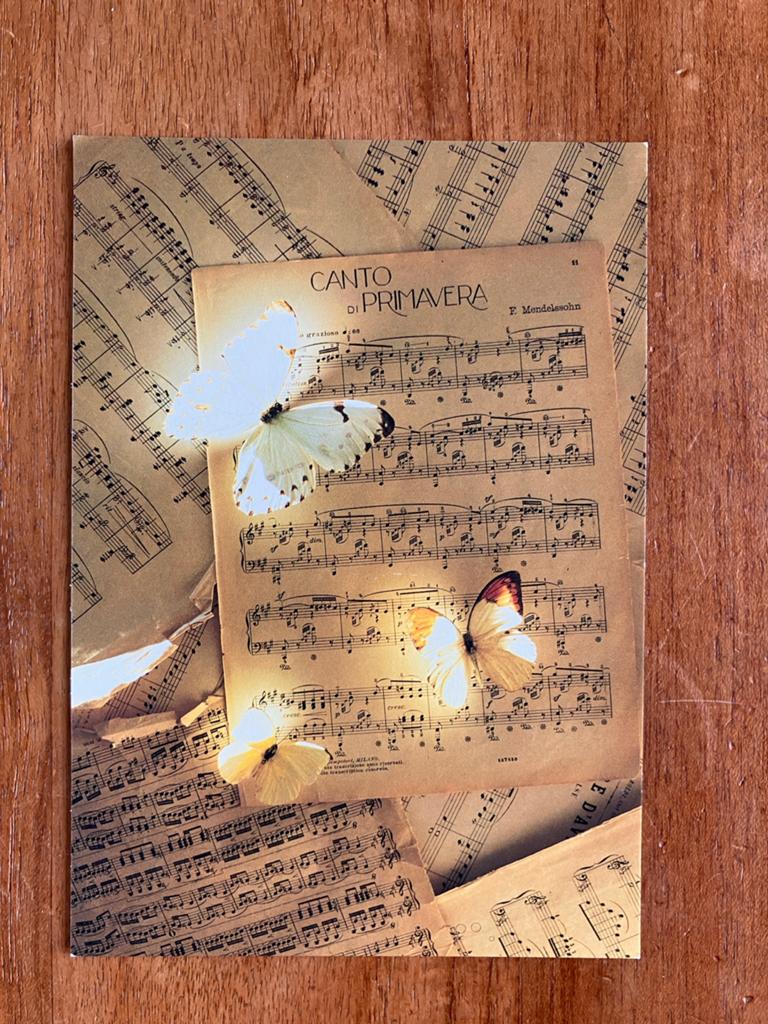 New Music. Vlinders op Muziekblad - Letizia Volpi 1985, Ophalen of Verzenden, 1980 tot heden, Ongelopen, Muziek