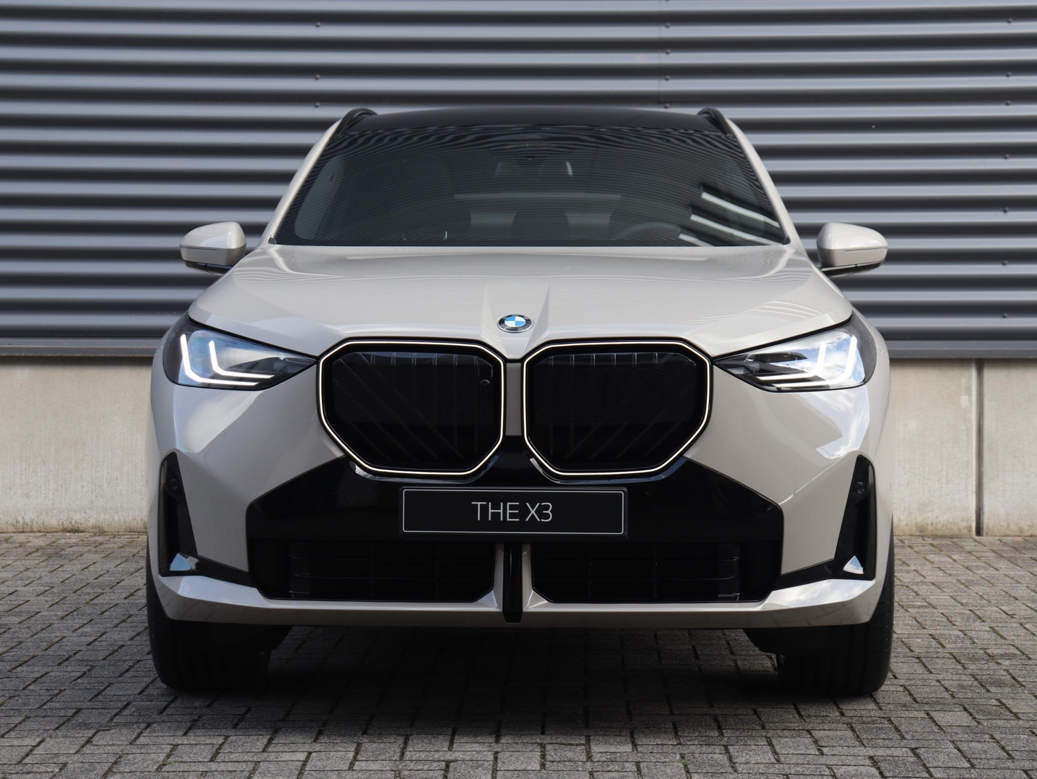 BMW X3 30e xDrive Premium Pack | Professional Pack | Comfort, Auto's, BMW, Automaat, 1998 cc, 4 cilinders, 135 min