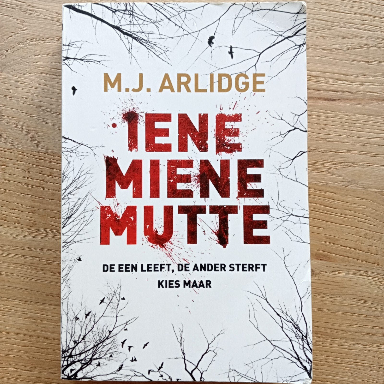3=2  M.J. Arlidge - Iene Miene Mutte, Gelezen, Europa overig, Ophalen of Verzenden, M.J. Arlidge