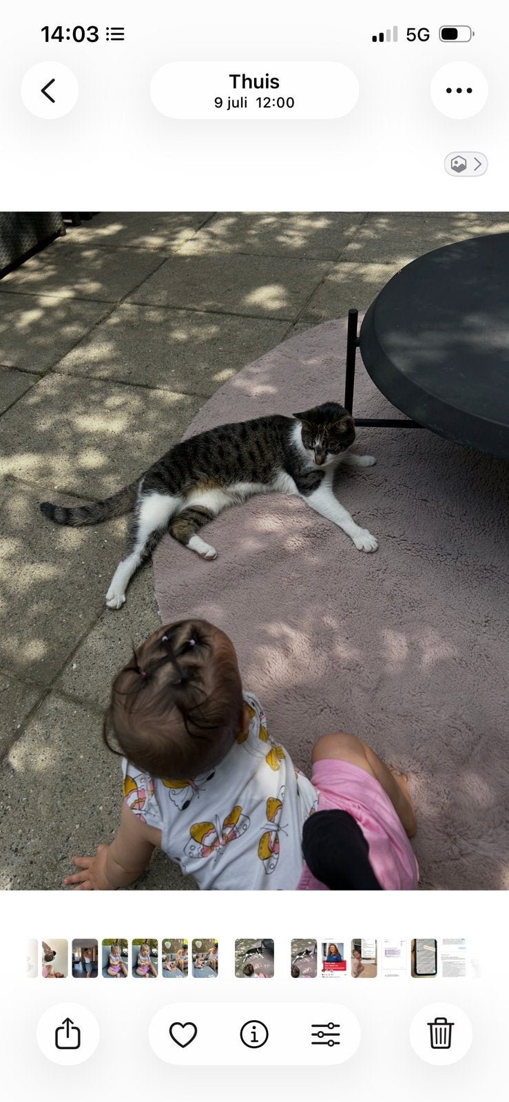 Boerderij gezocht voor coco