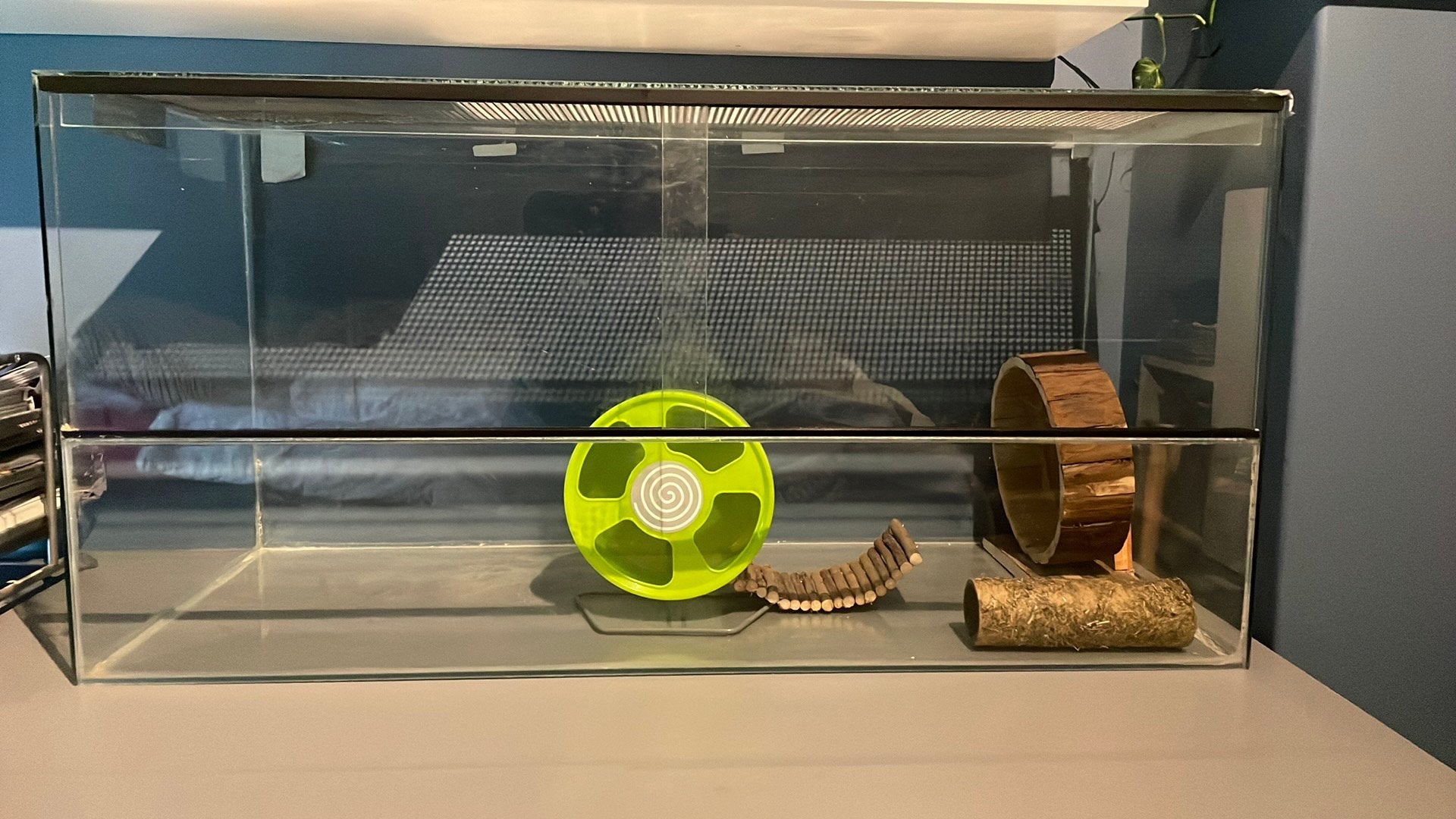 Hamsterscape terrarium 100x50x40, Dieren en Toebehoren, Knaagdieren en Konijnen | Hokken en Kooien, Zo goed als nieuw, 75 tot 110 cm
