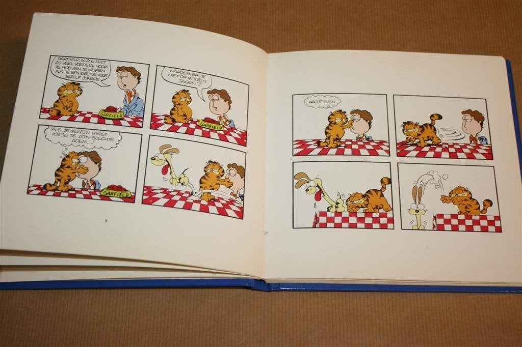 Garfield's grote avontuur, Eén stripboek, Ophalen of Verzenden, Zo goed als nieuw
