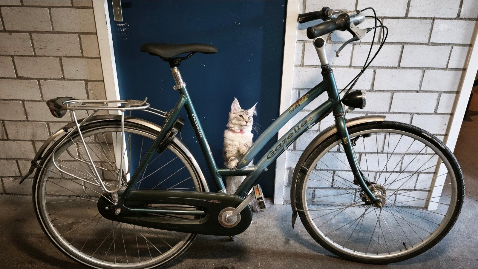 Fiets Gazelle Davon 7, Ophalen, Gebruikt, Minder dan 10 versnellingen, Overige merken