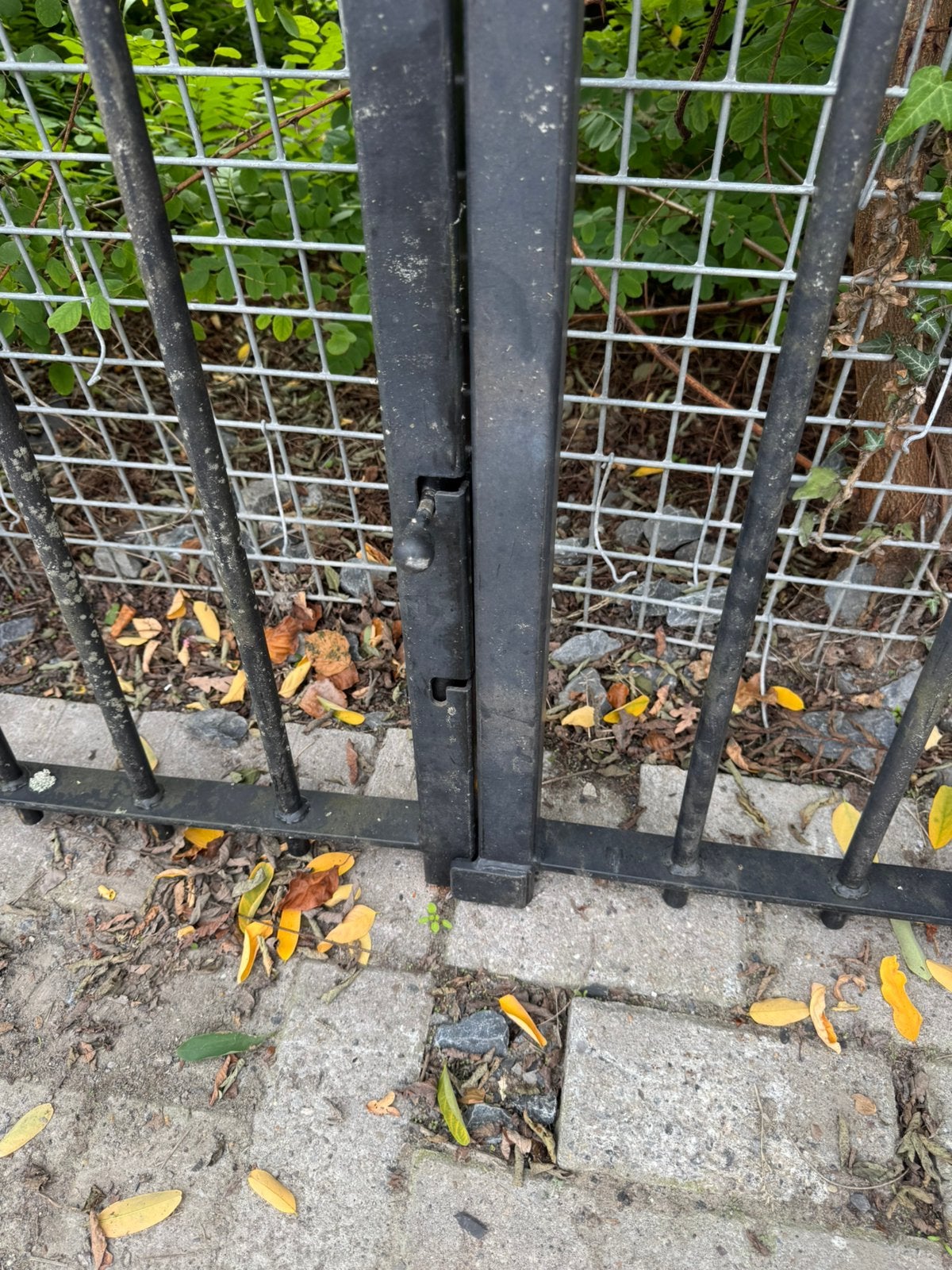 Sierpoort 2delig 185 cm. Breed, Tuin en Terras, Ophalen of Verzenden, Gebruikt, IJzer, Tuinhek