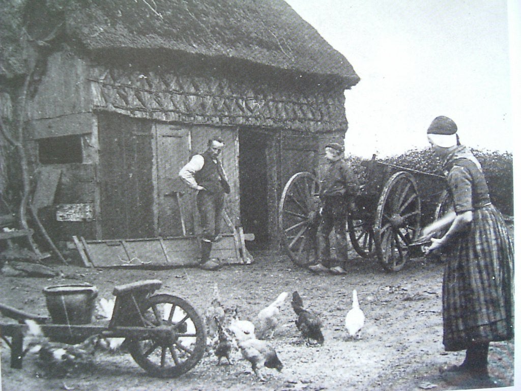 Het boerderijenboek., Ophalen of Verzenden, Zo goed als nieuw, P. van Cruyningen