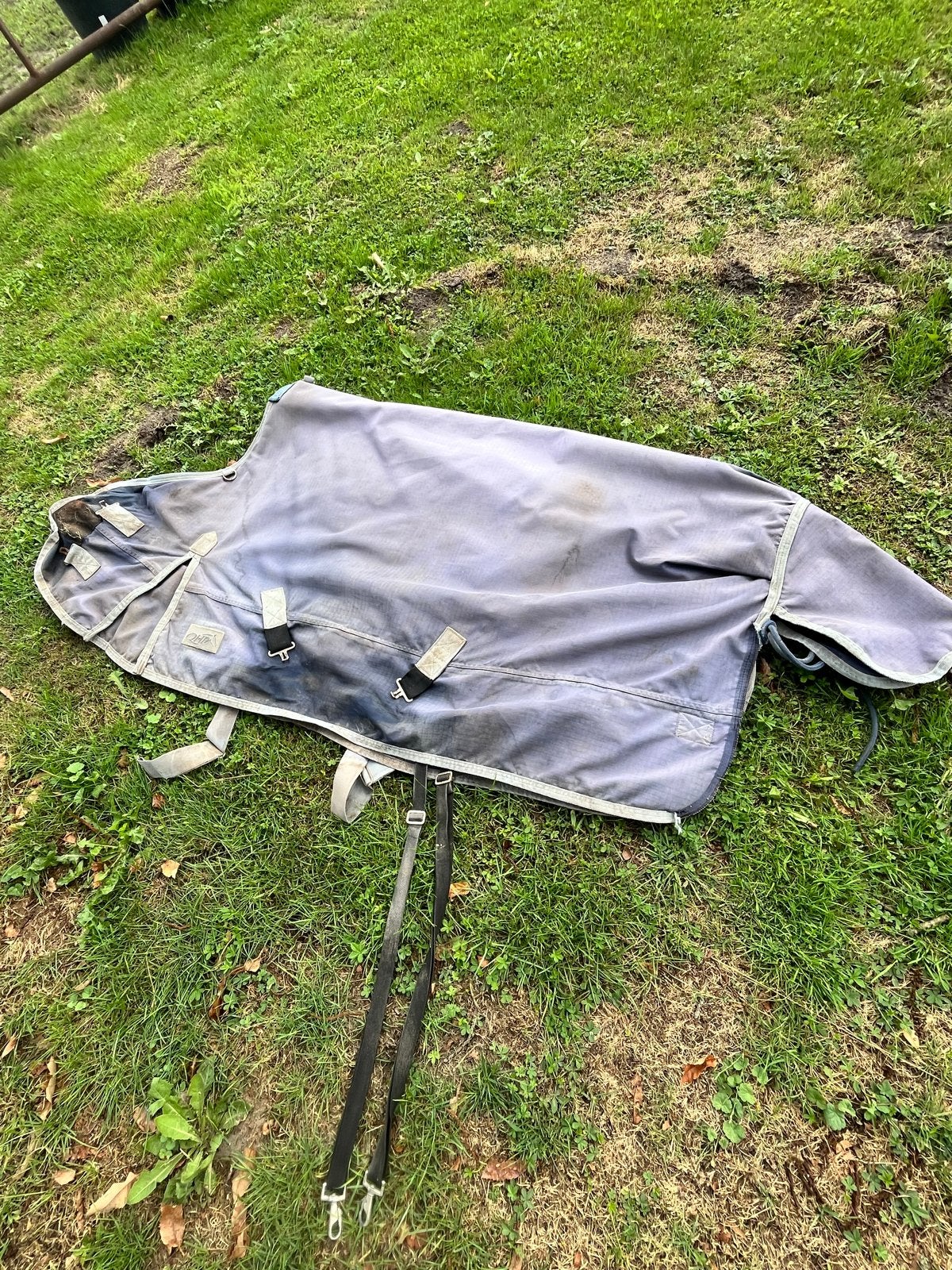 Regendeken maat 165, Ophalen, Gebruikt, Pony (P), QHP