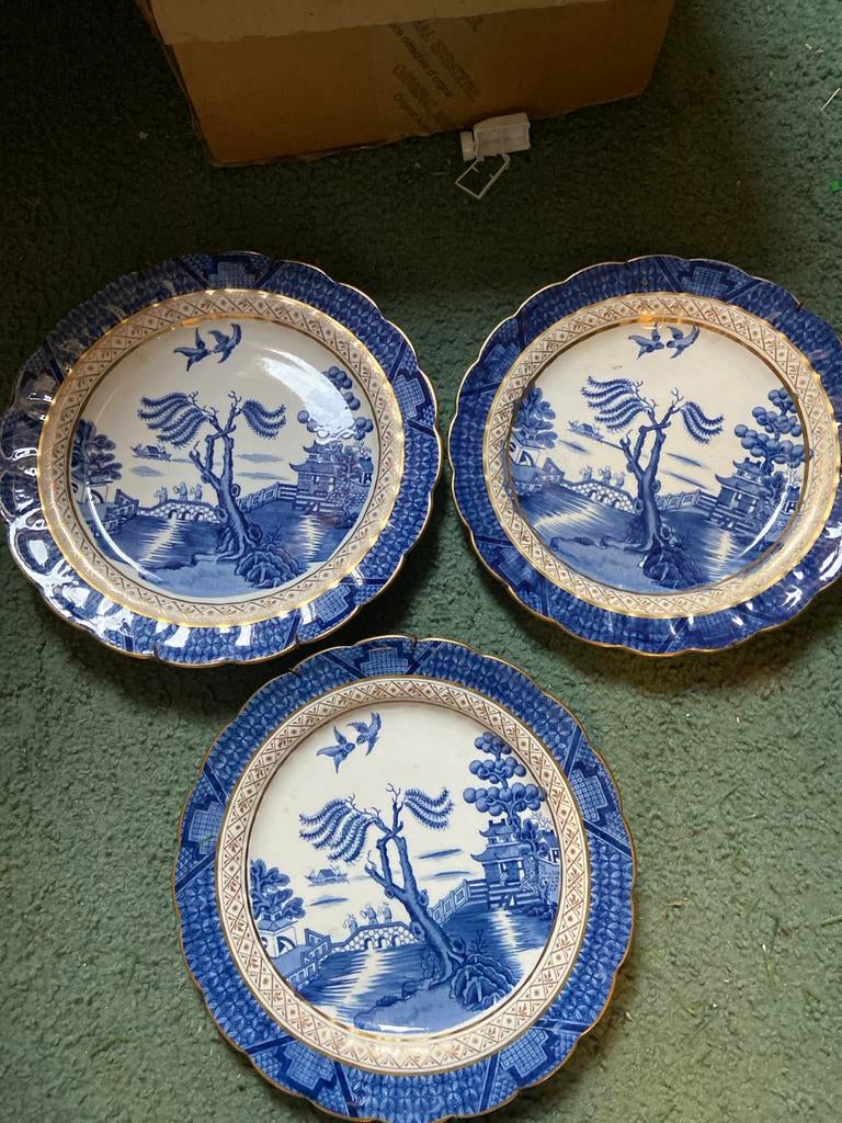 Bootsh rilh 3 stuks dinerbord, Ophalen of Verzenden