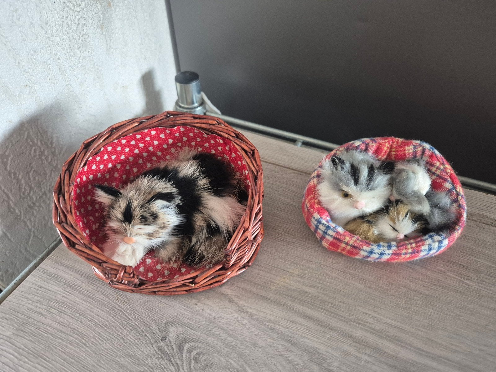2 mandjes met poesjes, Ophalen of Verzenden, Zo goed als nieuw, Dier