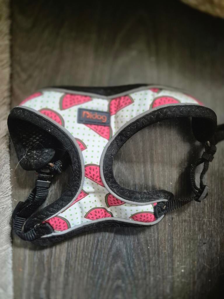 Katten harnas maat s, Ophalen of Verzenden, Gebruikt