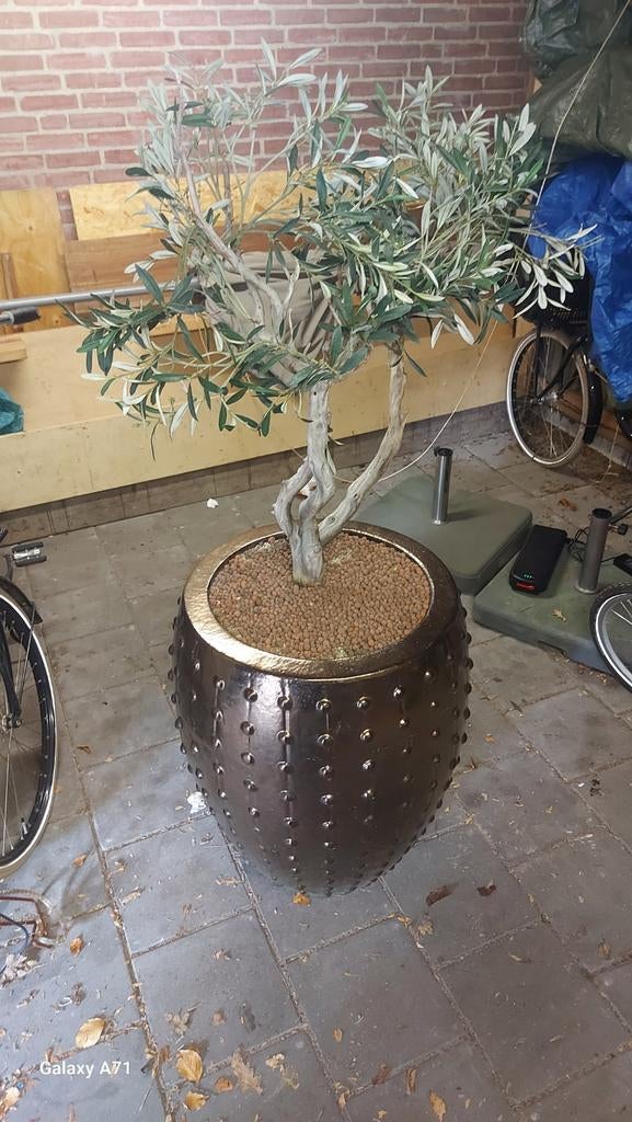 Bronzen/gouden plantenpot met olijf kunstboompje, Huis en Inrichting, Woonaccessoires | Kunstplanten en Kunstbloemen, Ophalen