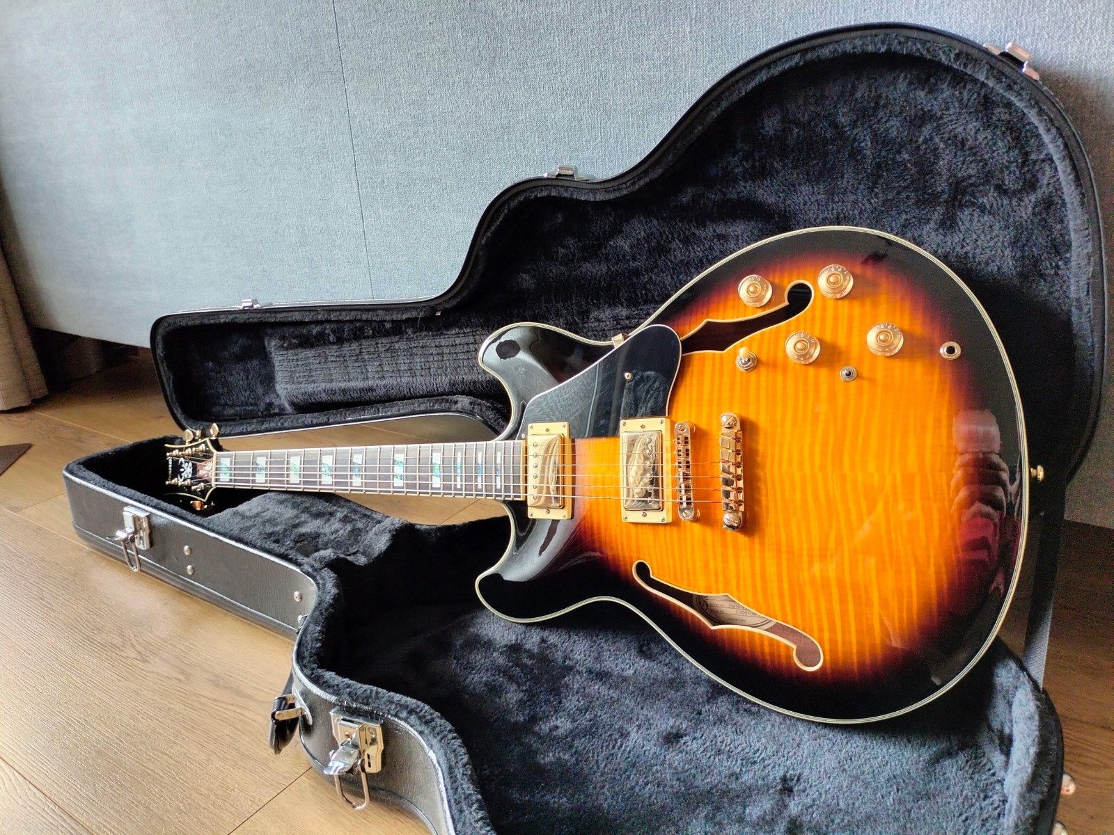 Te ruil/koop. Ibanez jsm10 John Scofield, Ophalen of Verzenden, Solid body, Ibanez