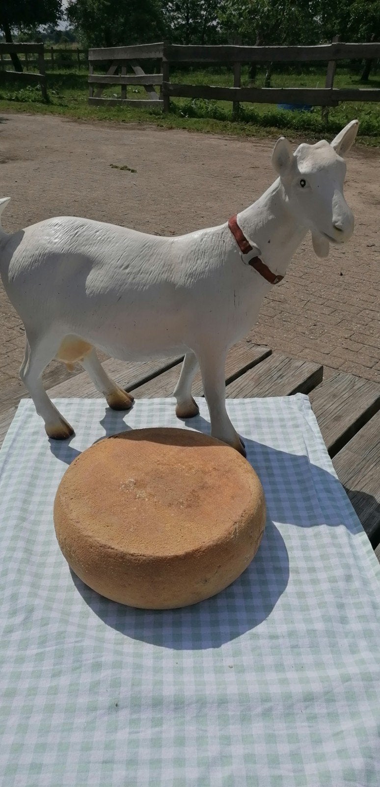 Partij natuurgerijpte geitenkaas, Ophalen