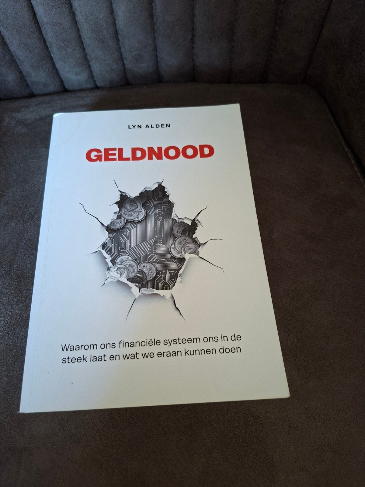 Geldnood - Lyn Alden (Financiële Systeem), Ophalen of Verzenden, Zo goed als nieuw, Geld en Beleggen, Lyn Alden