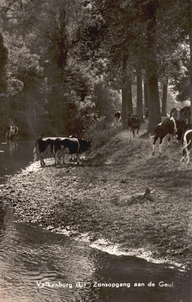 Valkenburg, Zonsopgang aan de Geul (1960) 131208, Ophalen of Verzenden, 1940 tot 1960, Gelopen, Limburg