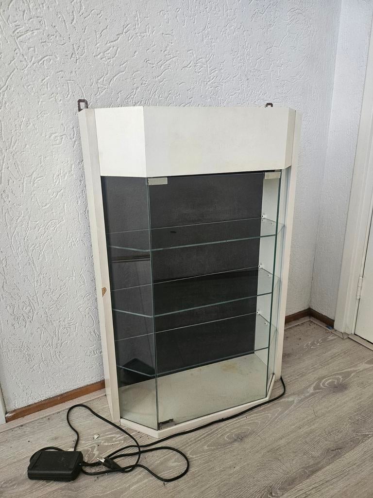 Wandvitrinekast 75x50cm met verlichting, Ophalen, Glas, 50 tot 100 cm, Minder dan 25 cm
