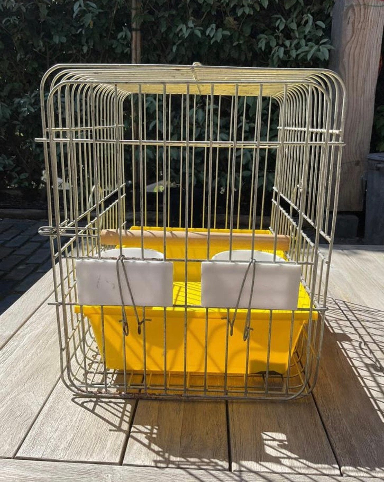 transport/reiskooi papegaai / vogel, Ophalen of Verzenden, Speelgoed