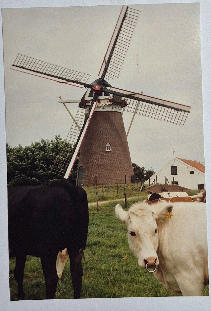 Stokkum ( Gld. ) foto Düffels Möll, Natuur, Verzenden, 1980 tot heden, Foto