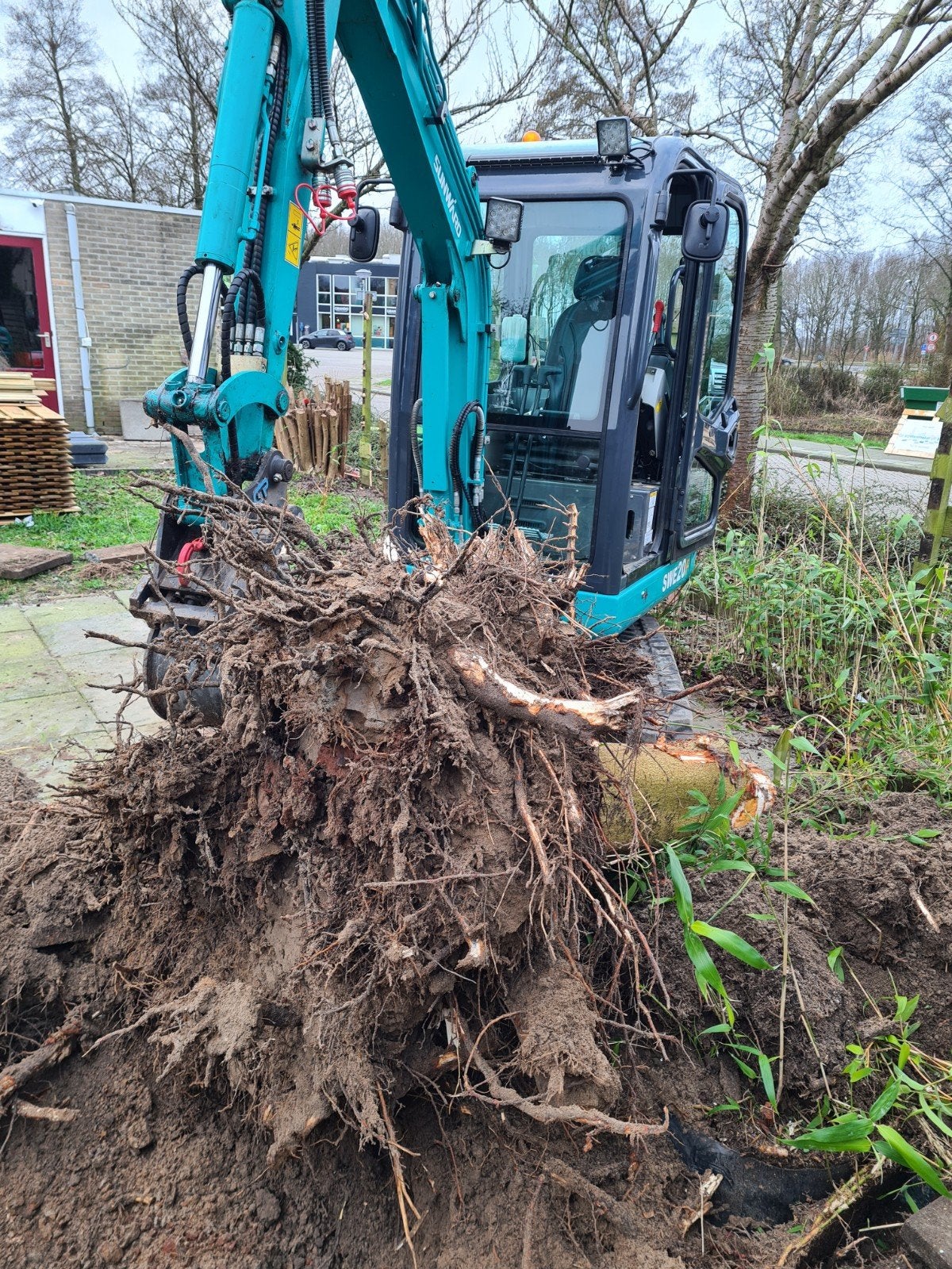 boomstronken verwijderen, tuin leeghalen, Tuin en Terras, Ophalen, Nieuw