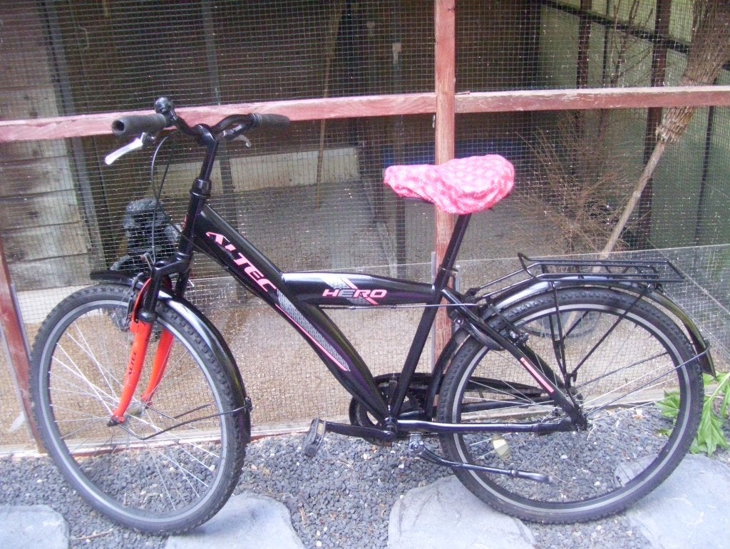 fiets, Fietsen en Brommers, Gebruikt, Velgrem, Minder dan 49 cm, Ophalen