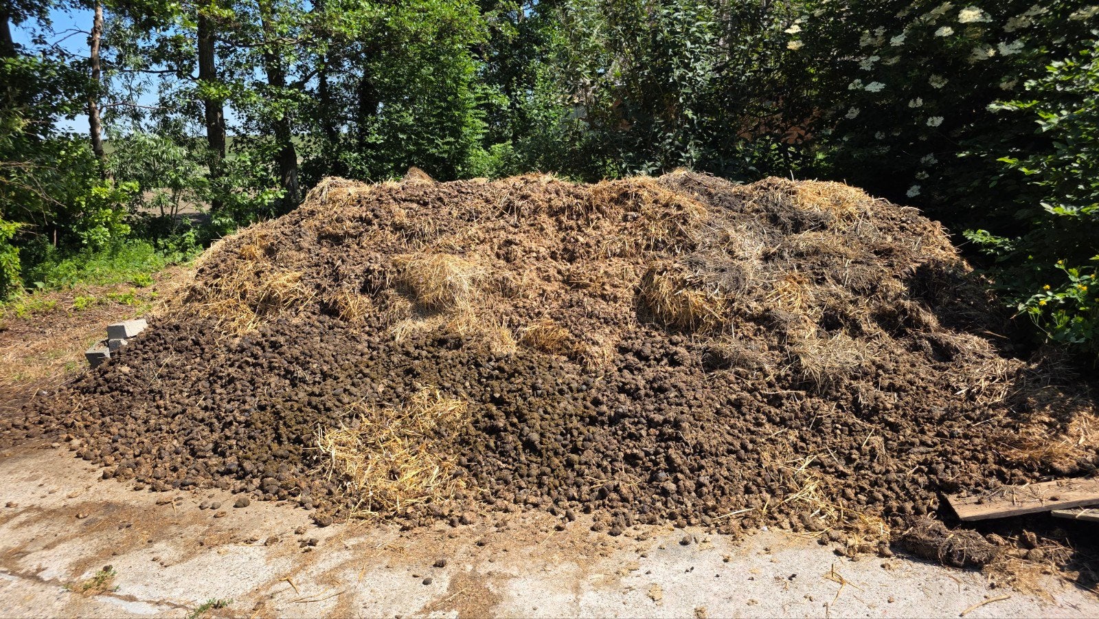 Paardenmest GRATIS, Ophalen, Mest